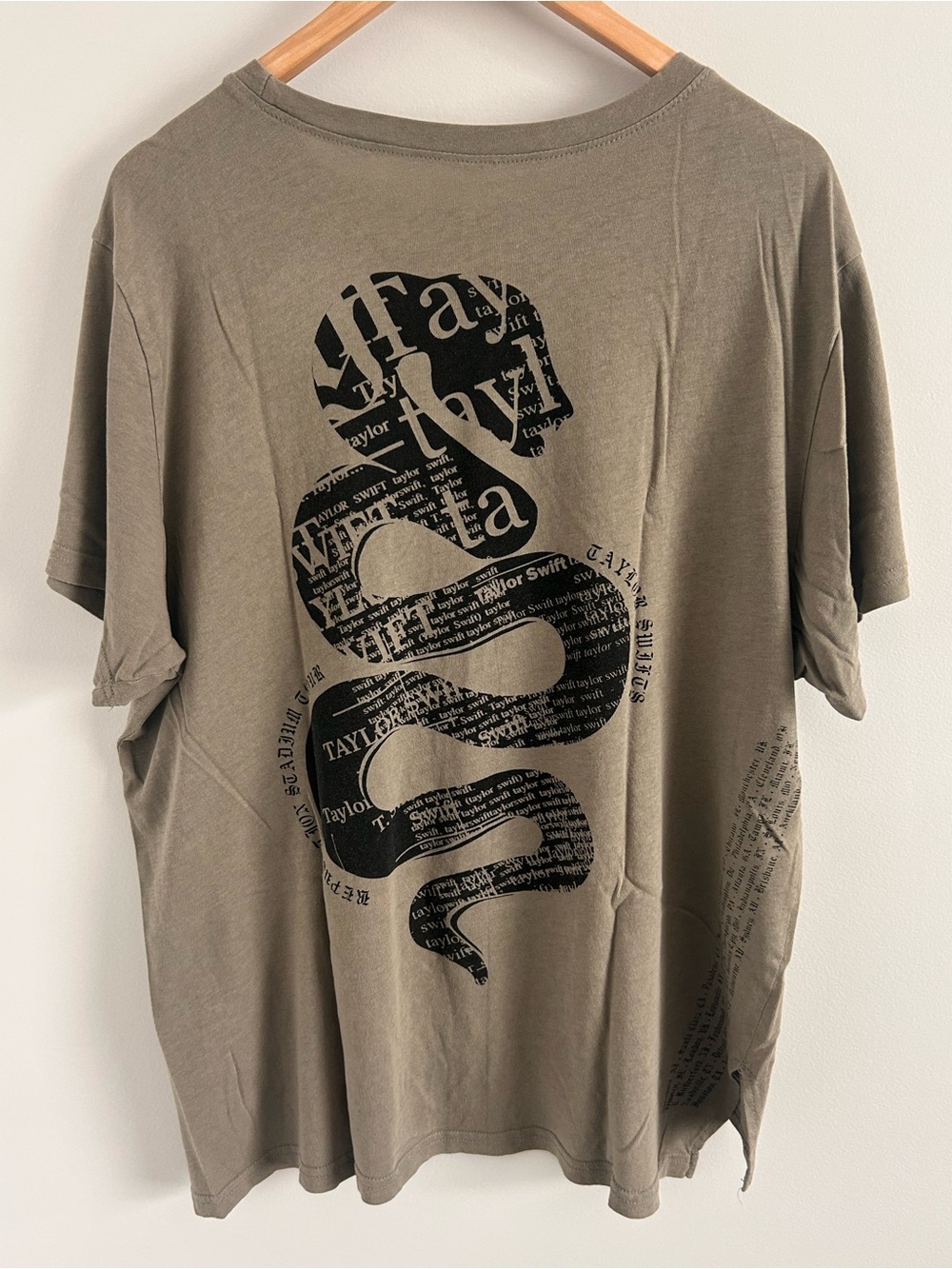 Taylor Swift Reputation Snake Graphic Oversized Tee, approx Size Medium -no size